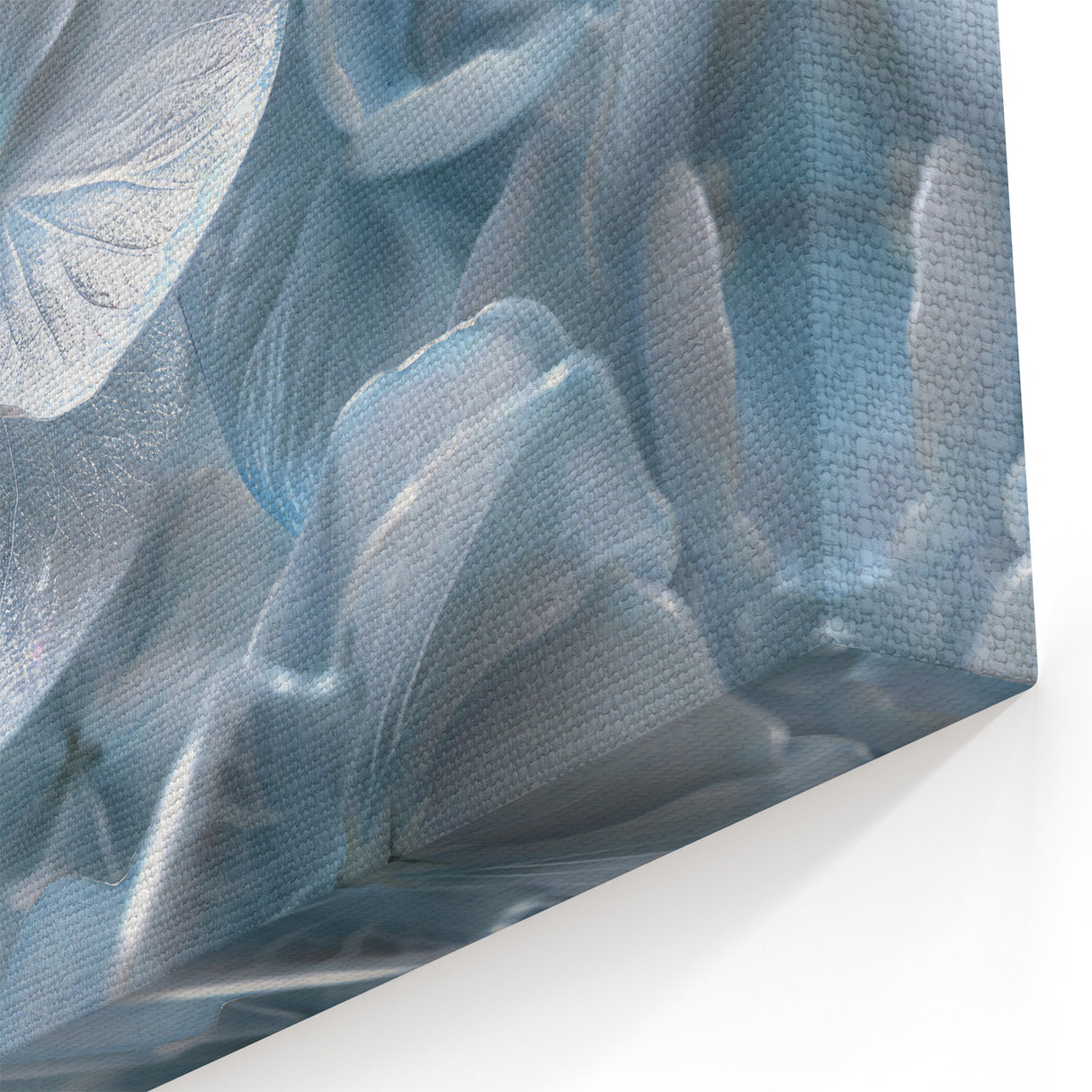 Close-Up Botanical Hydrangea Art - Hydrangea Canvas Print - Floral Decor