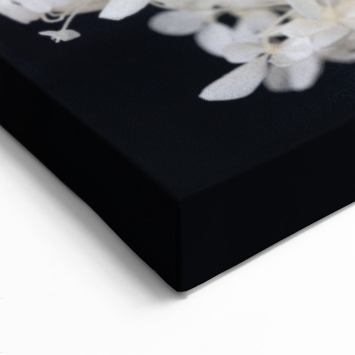 White Hydrangea Wall Art - Elegant Botanical Canvas Print - Floral Decor