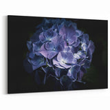Dark Blue Hydrangea Wall Art - Floral Canvas Print - Botanical Decor