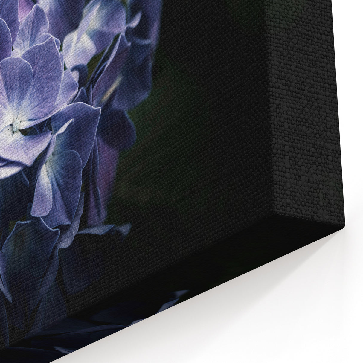 Dark Blue Hydrangea Wall Art - Floral Canvas Print - Botanical Decor