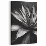 Monochrome Succulent Wall Art - Bold Black & White Botanical Decor