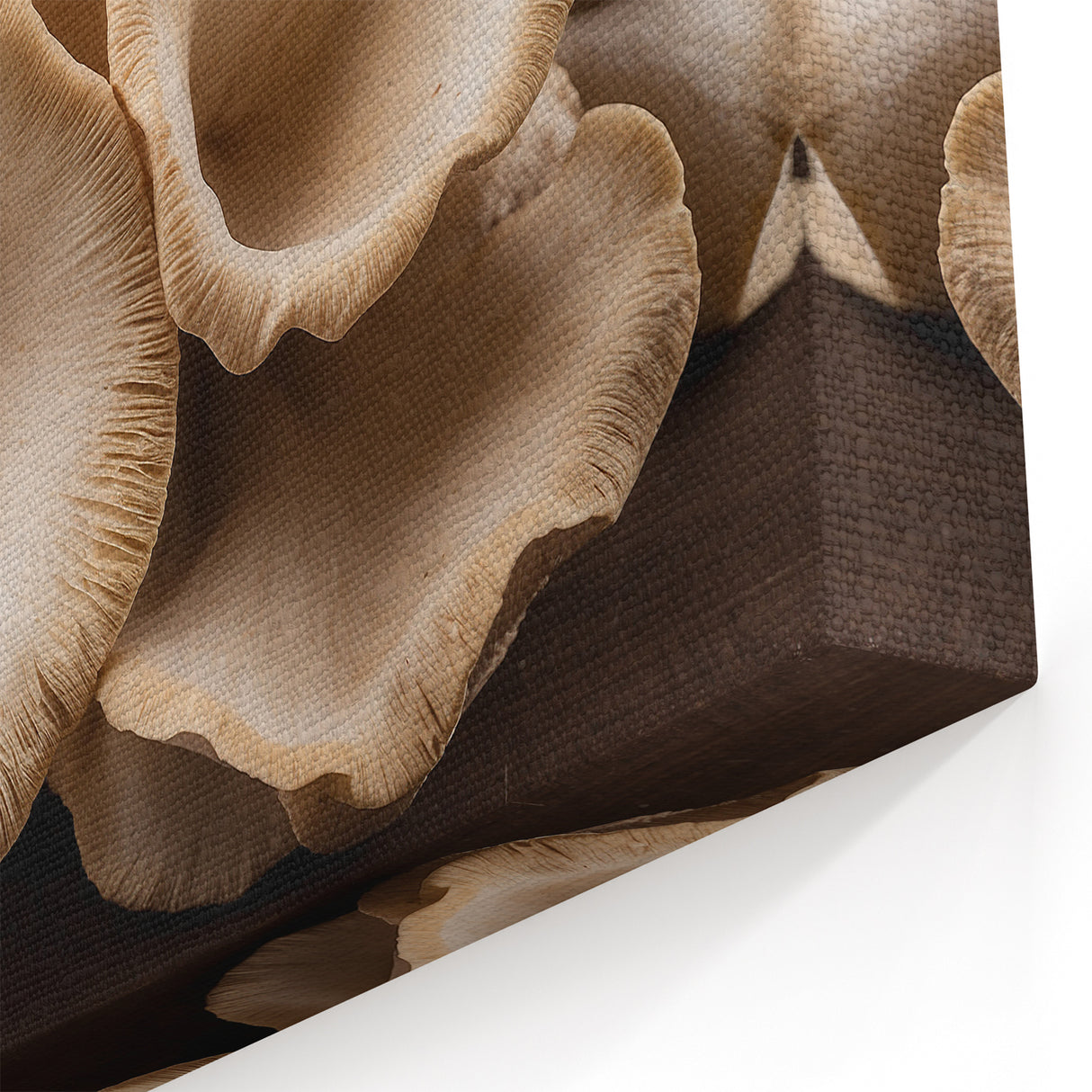 Mushroom Canvas Art | Botanical Mushroom Decor | Nature-Inspired Fungi Wall Print