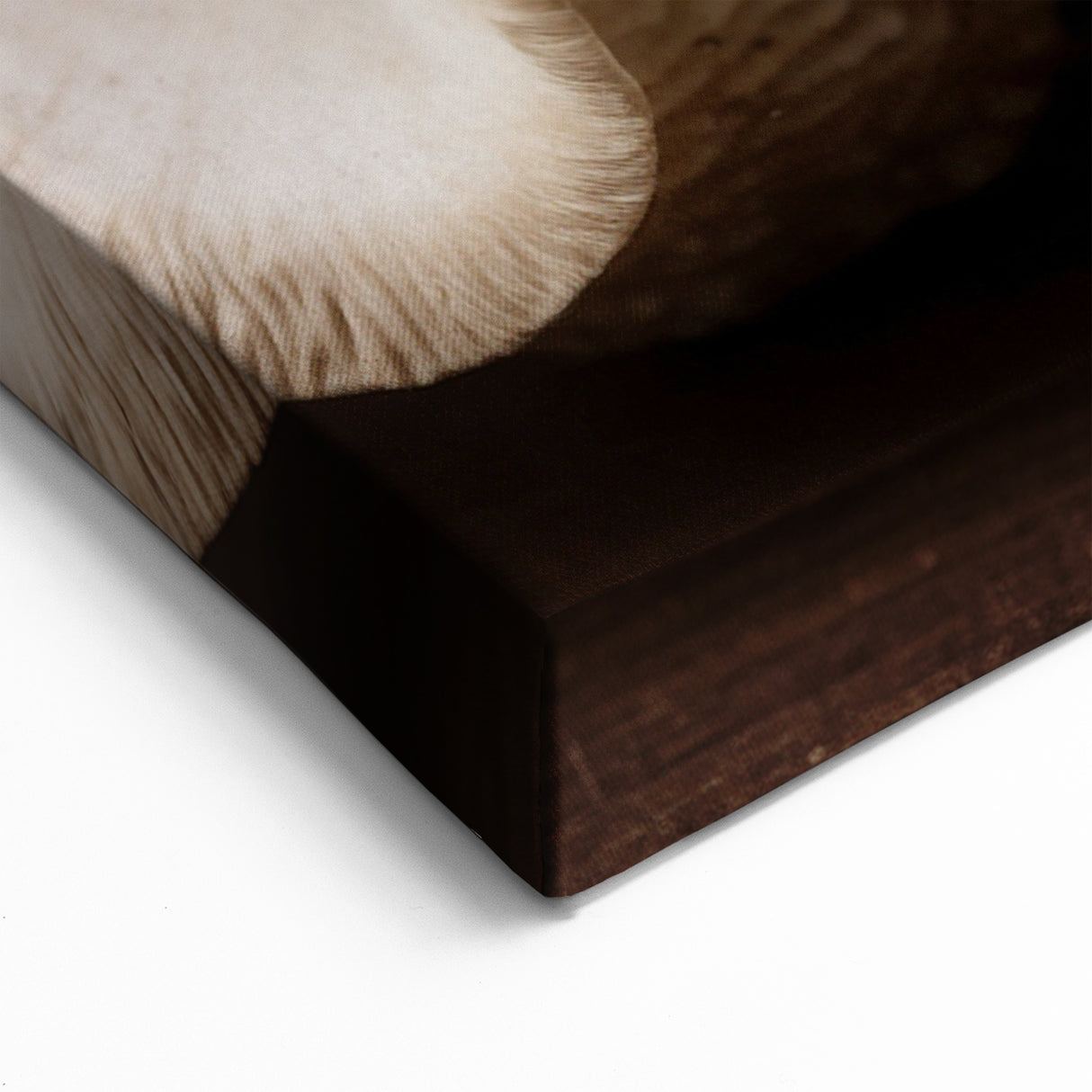 Mushroom Canvas Art | Botanical Mushroom Decor | Nature-Inspired Fungi Wall Print