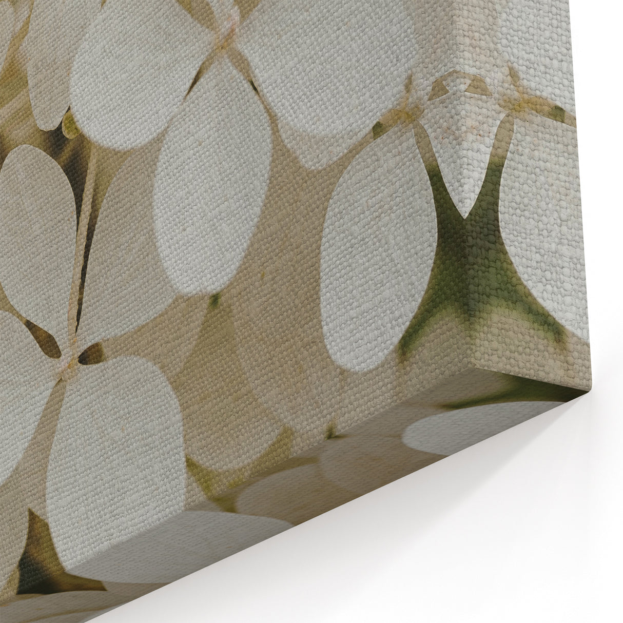 Ivory Hydrangea Wall Art - Botanical Canvas Print - Elegant Floral Decor