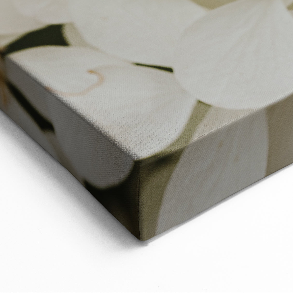 Ivory Hydrangea Wall Art - Botanical Canvas Print - Elegant Floral Decor