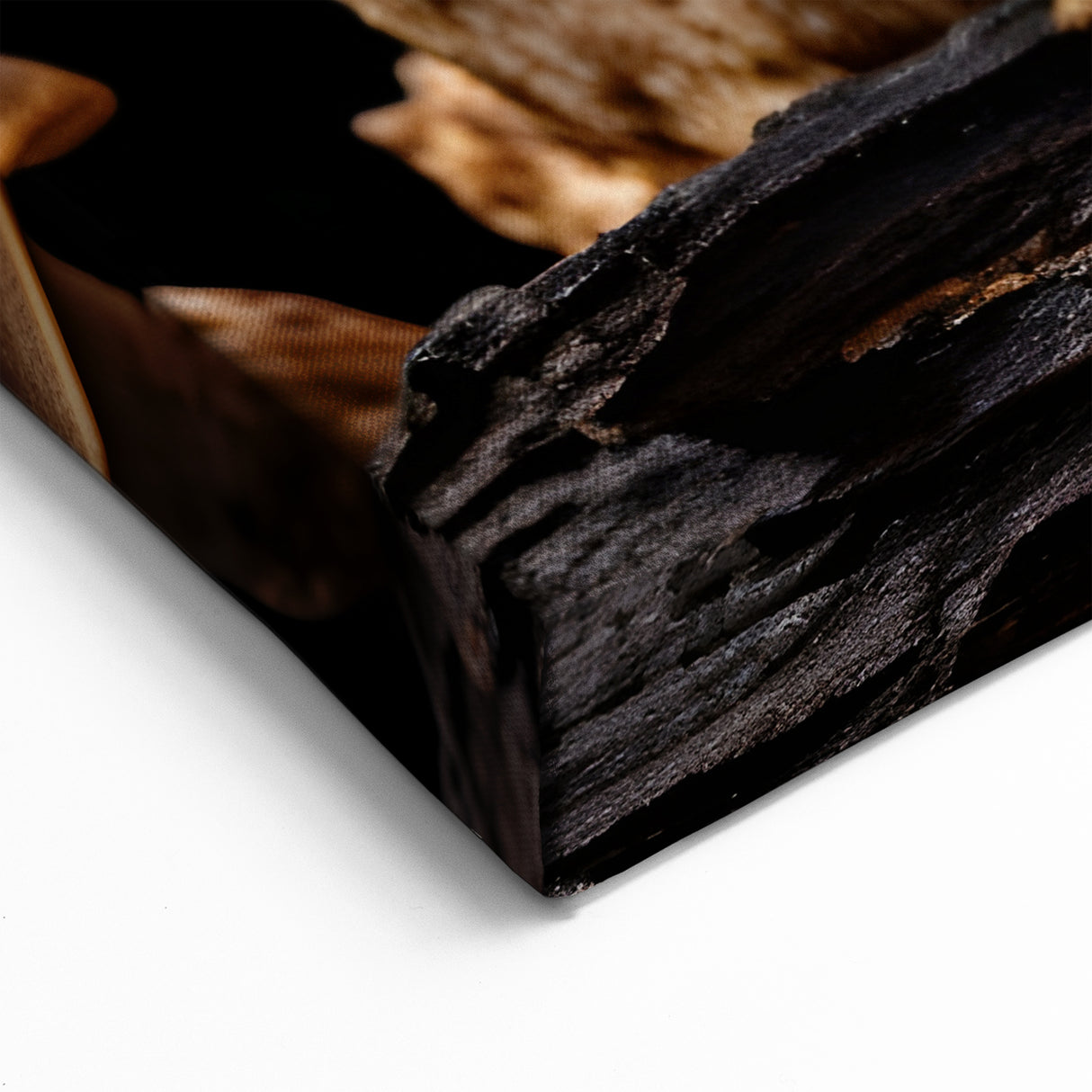 Mushroom Wall Art | Botanical Fungi Canvas | Nature-Inspired Mushroom Prints