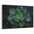 Rain-Kissed Succulent Wall Art - Vibrant Botanical Decor for Home