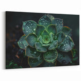 Rain-Kissed Succulent Wall Art - Vibrant Botanical Decor for Home