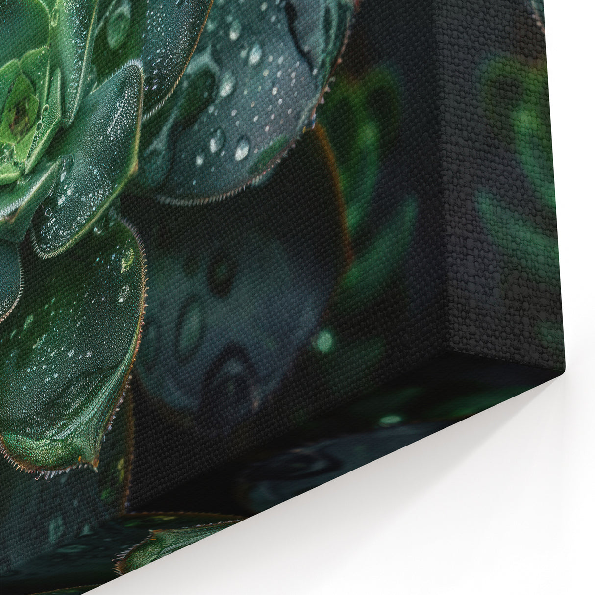 Rain-Kissed Succulent Wall Art - Vibrant Botanical Decor for Home