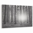 Forest Trees Wall Art - Botanical Forest Canvas - Woodland Tree Paintings