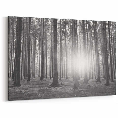 Forest Trees Wall Art - Botanical Forest Canvas - Woodland Tree Paintings