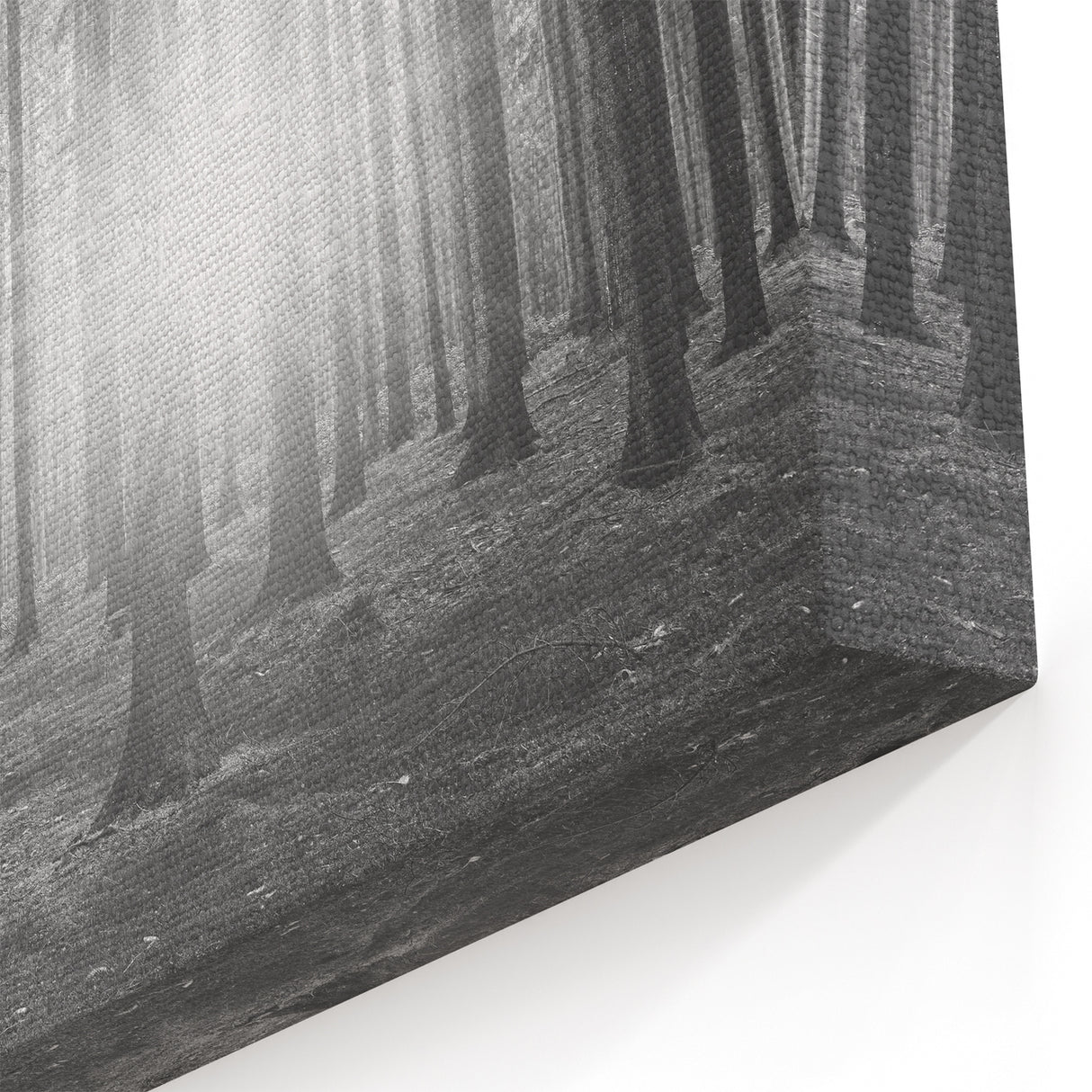 Forest Trees Wall Art - Botanical Forest Canvas - Woodland Tree Paintings