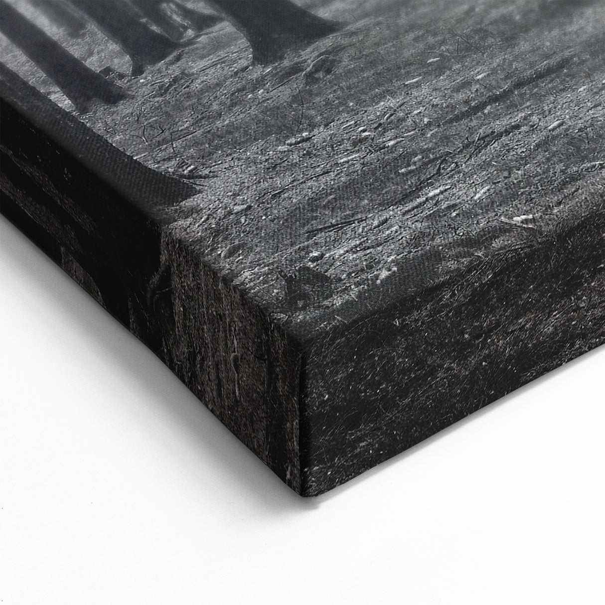 Forest Trees Wall Art - Botanical Forest Canvas - Woodland Tree Paintings