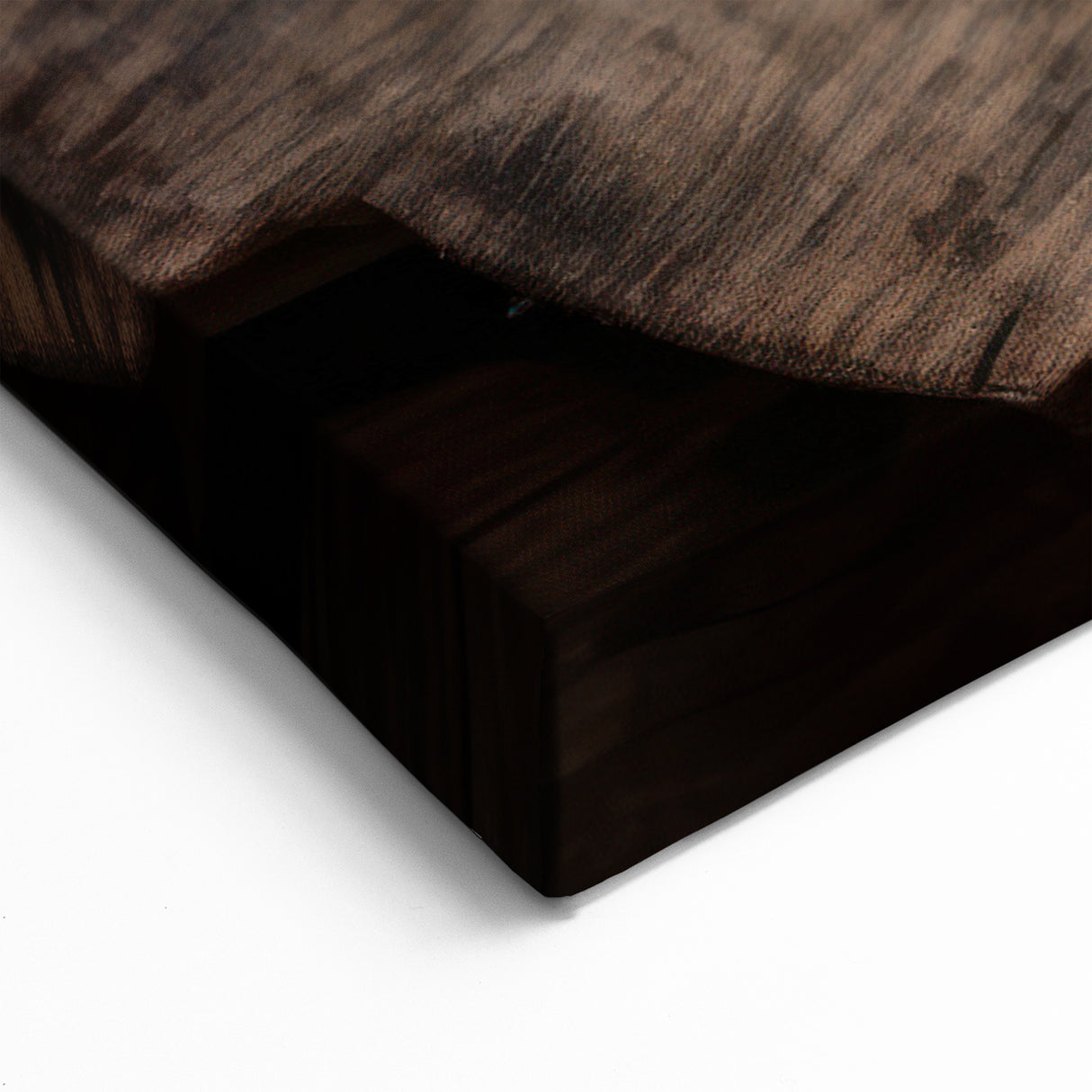 Mushroom Canvas Art | Rustic Fungi Prints | Botanical Mushroom Wall Decor