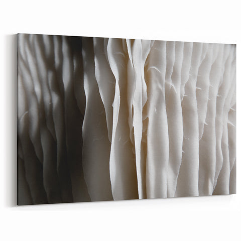 Mushroom Canvas Art | Botanical Mushroom Prints | Minimalist Fungi Decor