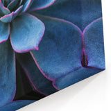 Blue Succulent Wall Art - Elegant Botanical Decor with Purple Accents