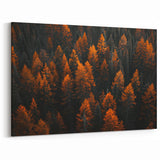 Forest Trees Wall Art - Autumn Leaves Woodland Canvas - Nature Landscape