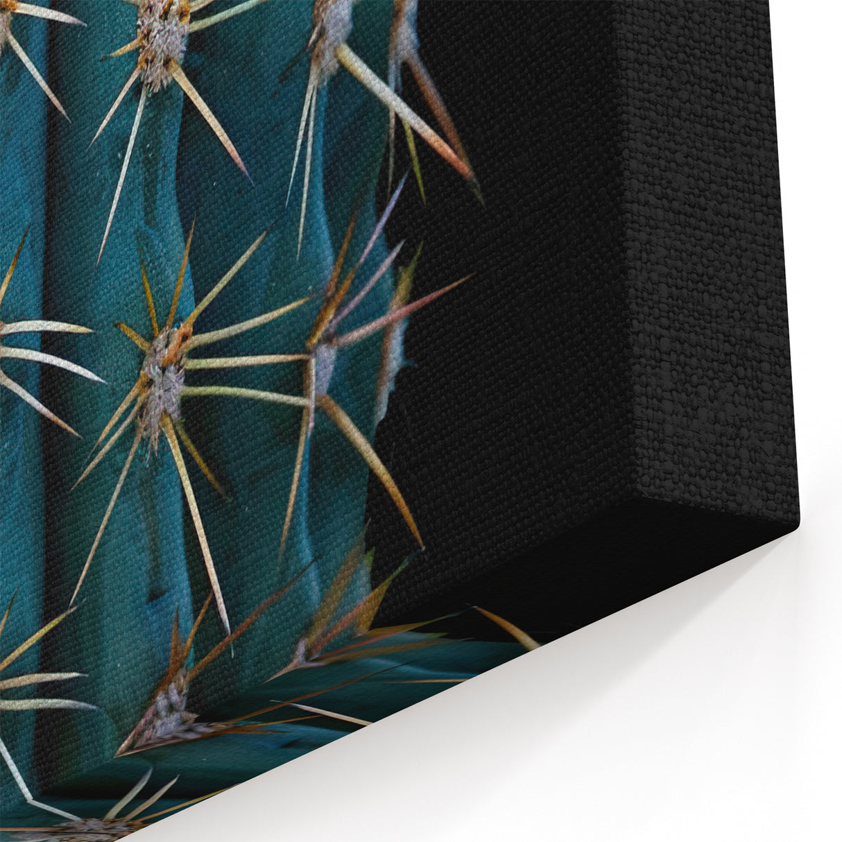 Bold Blue Cactus Photography - Modern Southwestern Succulent Wall Art
