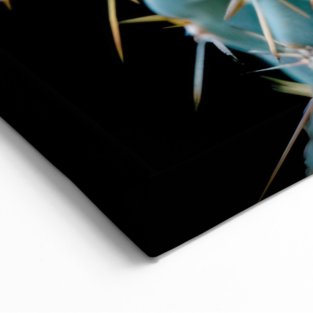 Bold Blue Cactus Photography - Modern Southwestern Succulent Wall Art