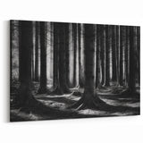 Forest Trees Wall Art - Black and White Nature Canvas - Woodland Prints