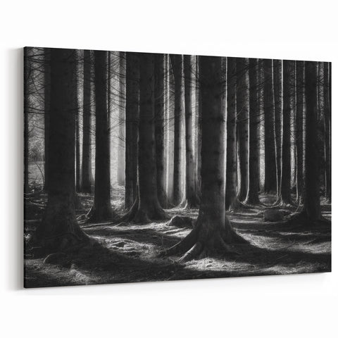 Forest Trees Wall Art - Black and White Nature Canvas - Woodland Prints