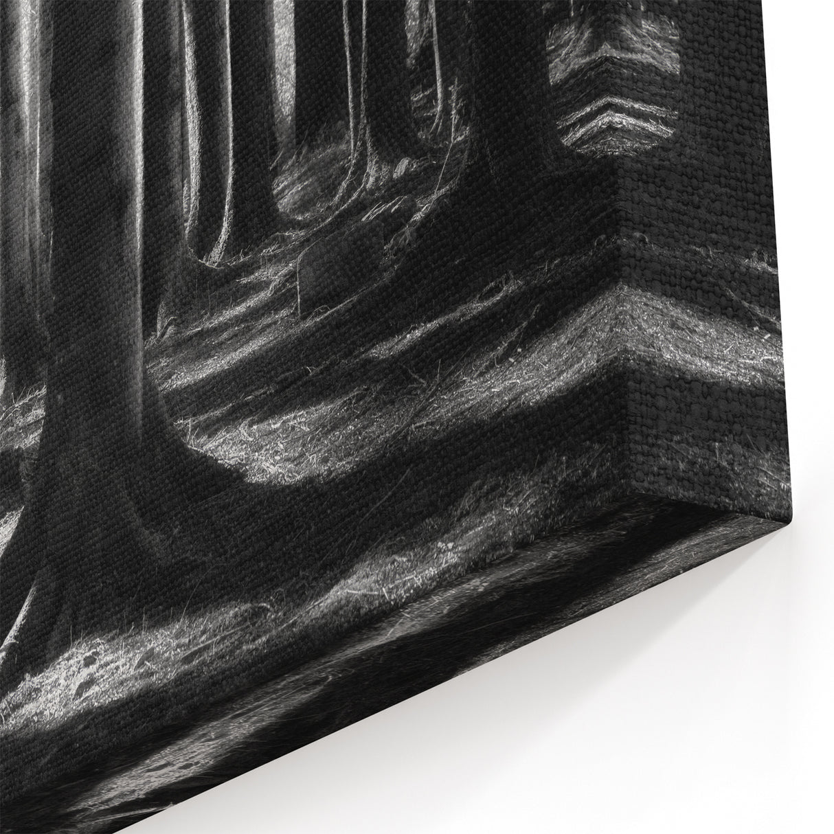 Forest Trees Wall Art - Black and White Nature Canvas - Woodland Prints