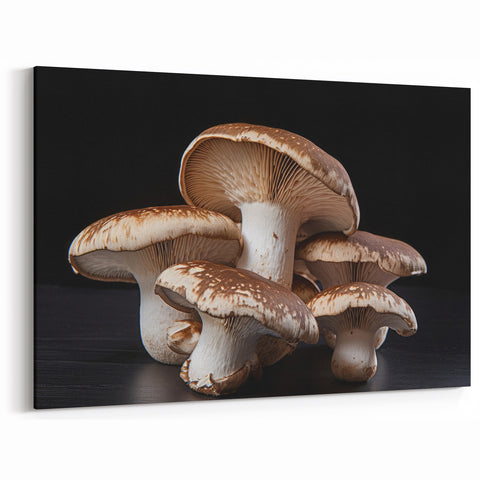 Mushroom Canvas Art | Botanical Mushroom Prints | Nature-Inspired Fungi Wall Decor
