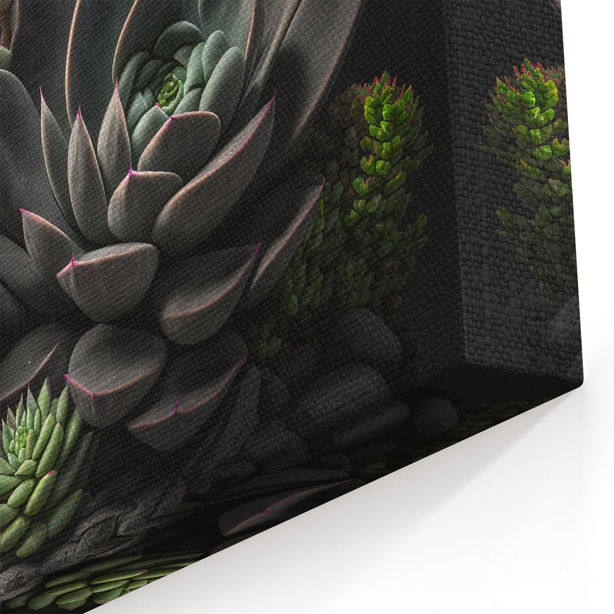 Dark Succulent Garden Wall Art - Elegant Green and Black Botanical Decor