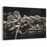 Mushroom Wall Art | Black and White Fungi Prints | Botanical Mushroom Canvas