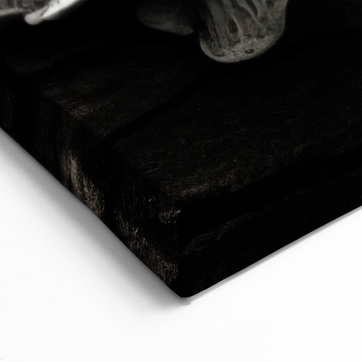 Mushroom Wall Art | Black and White Fungi Prints | Botanical Mushroom Canvas