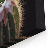 Elegant White Cactus Flower Art - Stunning Southwestern Succulent Decor