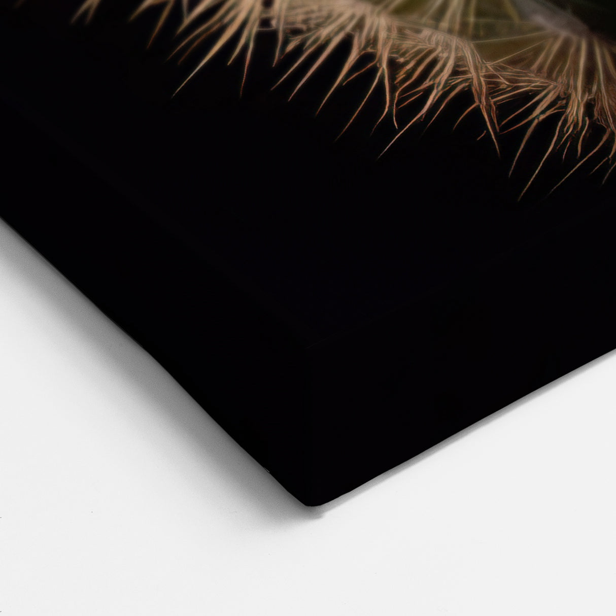 Elegant White Cactus Flower Art - Stunning Southwestern Succulent Decor