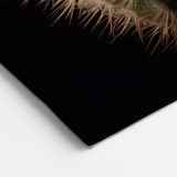 Elegant White Cactus Flower Art - Stunning Southwestern Succulent Decor