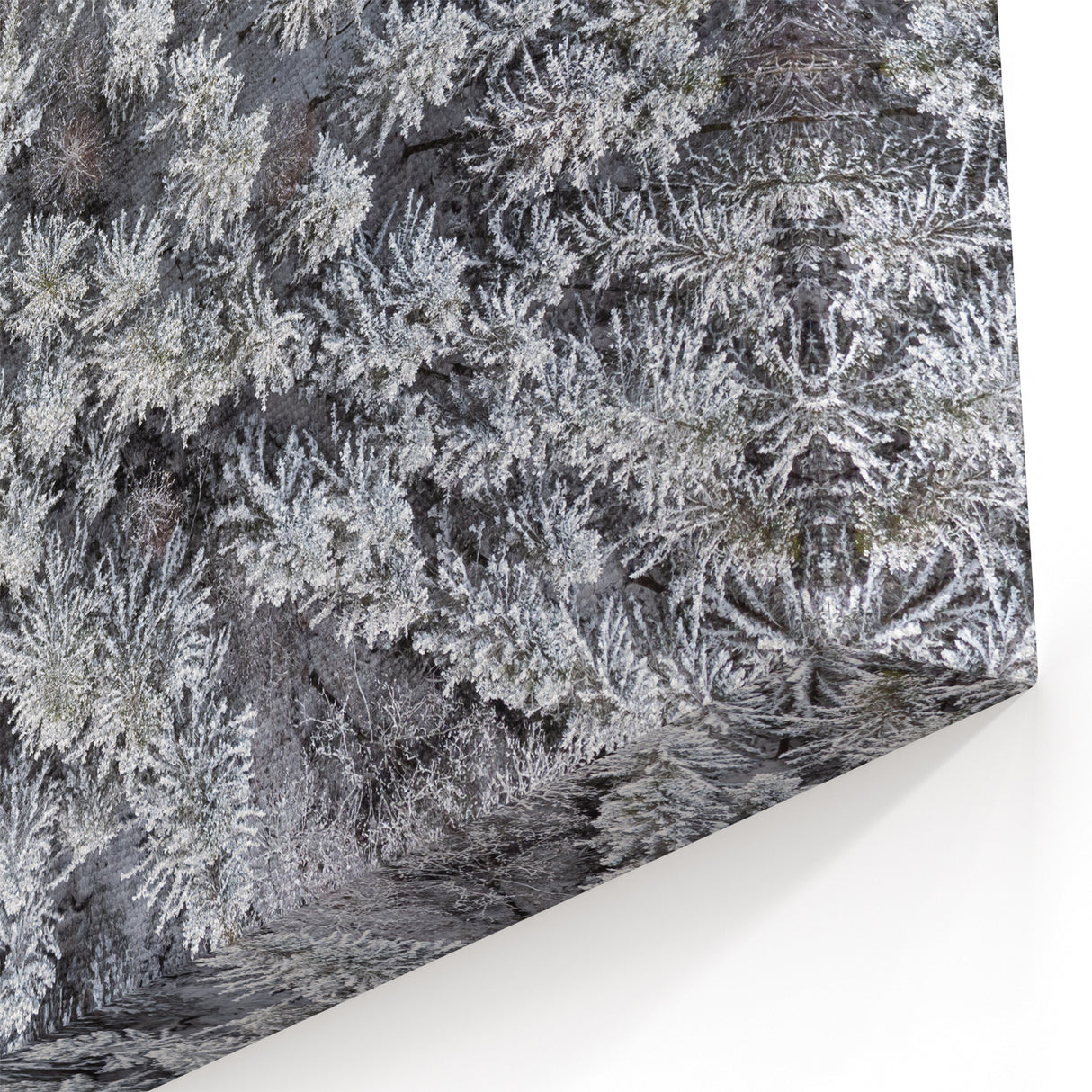 Winter Forest Aerial Wall Art - Snow-Covered Trees Canvas - Nature Decor