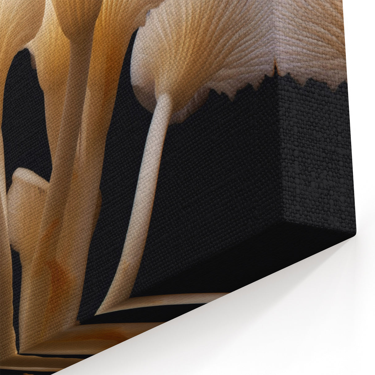 Mushroom Canvas Art | Botanical Mushroom Prints | Nature-Inspired Fungi Wall Decor