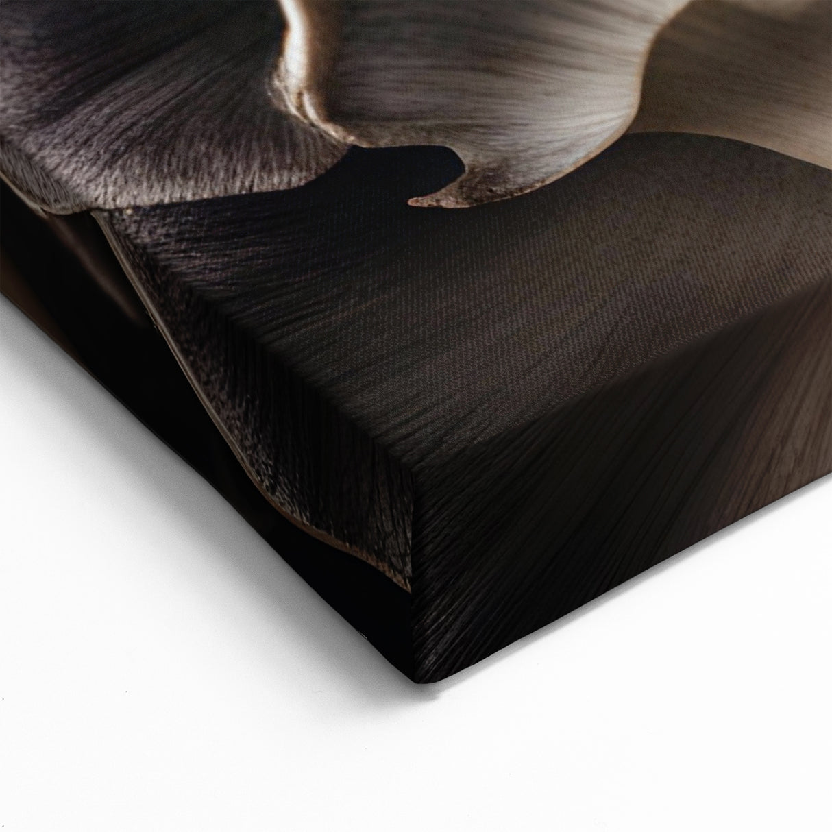 Mushroom Canvas Art | Botanical Fungi Prints | Nature-Inspired Mushroom Decor