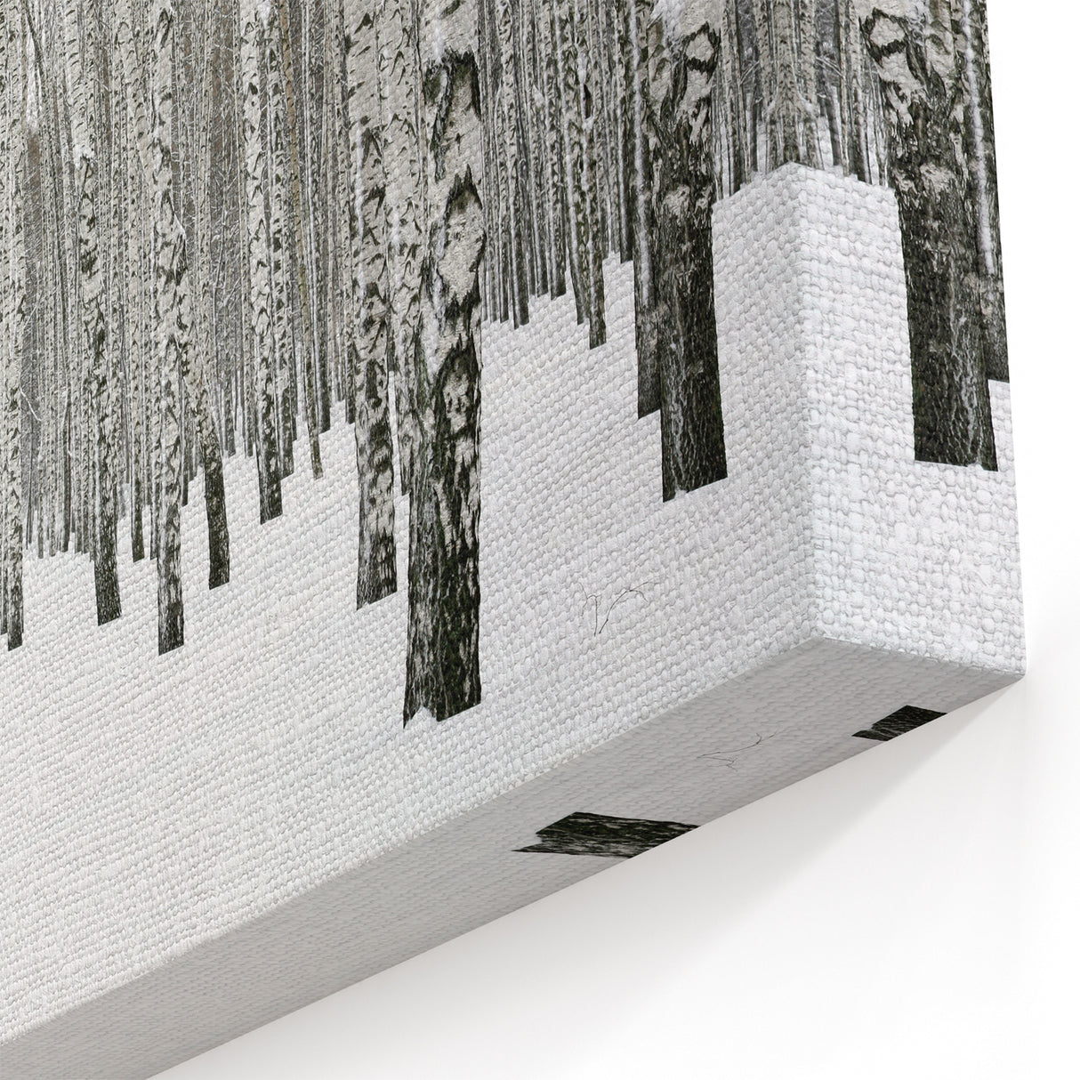 Winter Birch Forest Wall Art - Snowy Woodland Canvas - Nature Decor