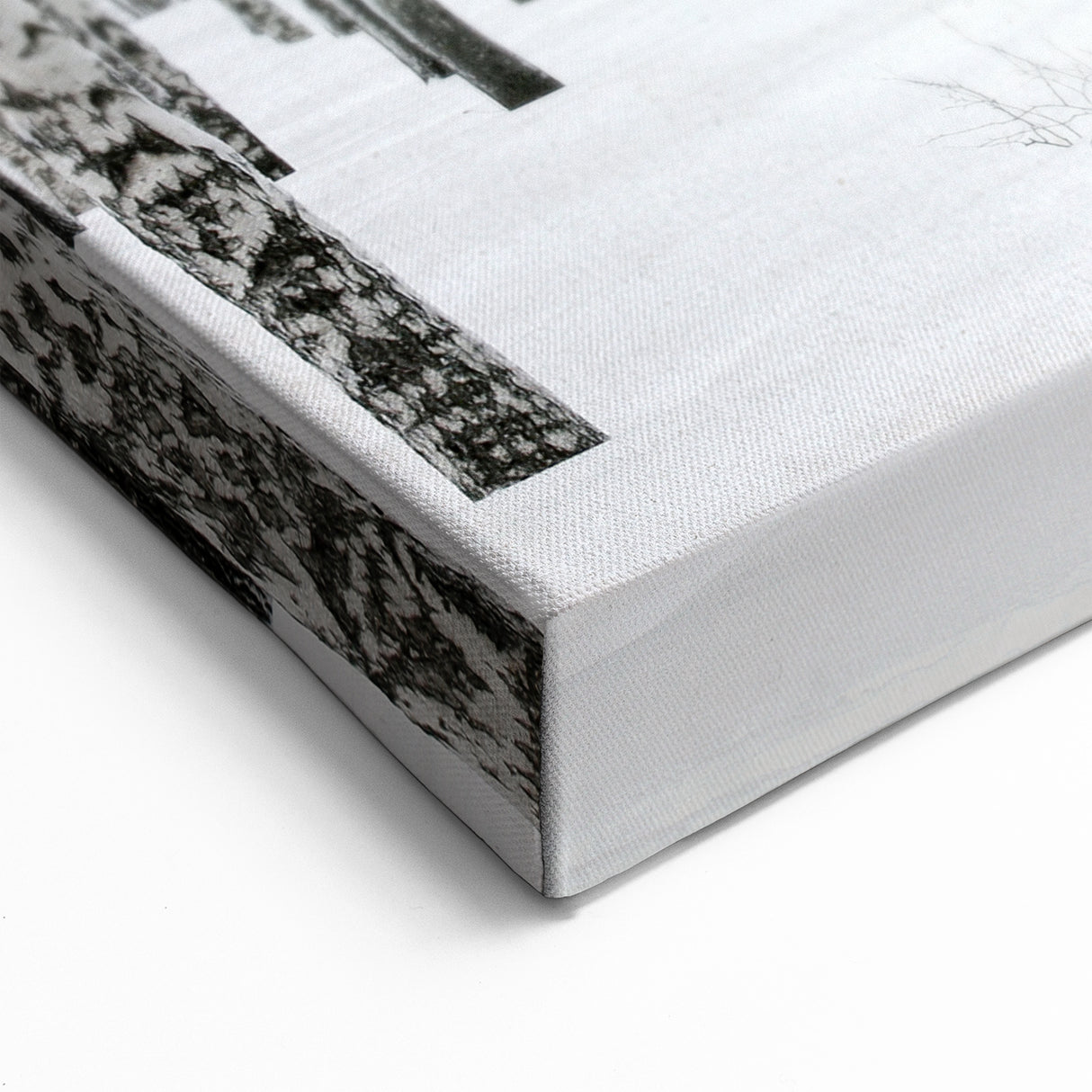 Winter Birch Forest Wall Art - Snowy Woodland Canvas - Nature Decor