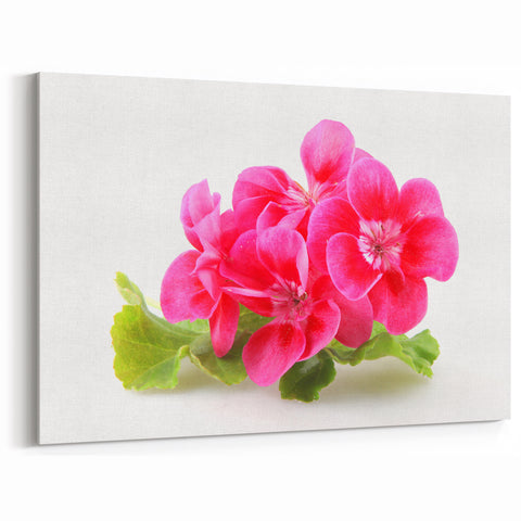 Red Geranium Flower Canvas - Botanical Geranium Wall Art - Floral Print