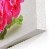 Red Geranium Flower Canvas - Botanical Geranium Wall Art - Floral Print
