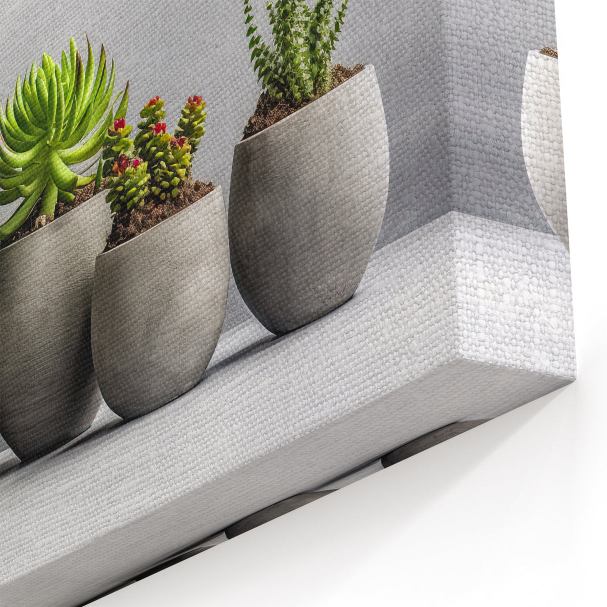 Minimalist Succulent Wall Art - Modern Gray and Green Botanical Decor
