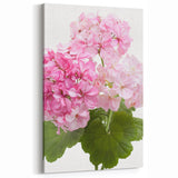 Botanical Geranium Prints - Pink Geranium Flower Canvas - Elegant Wall Art