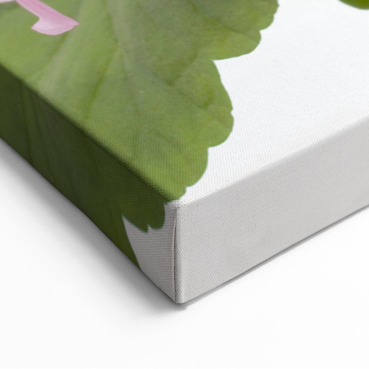 Botanical Geranium Prints - Pink Geranium Flower Canvas - Elegant Wall Art