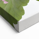 Botanical Geranium Prints - Pink Geranium Flower Canvas - Elegant Wall Art