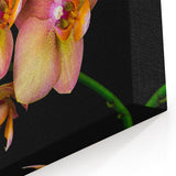 Elegant Orchid Flower Wall Art - Botanical Orchid Canvas Print Decor