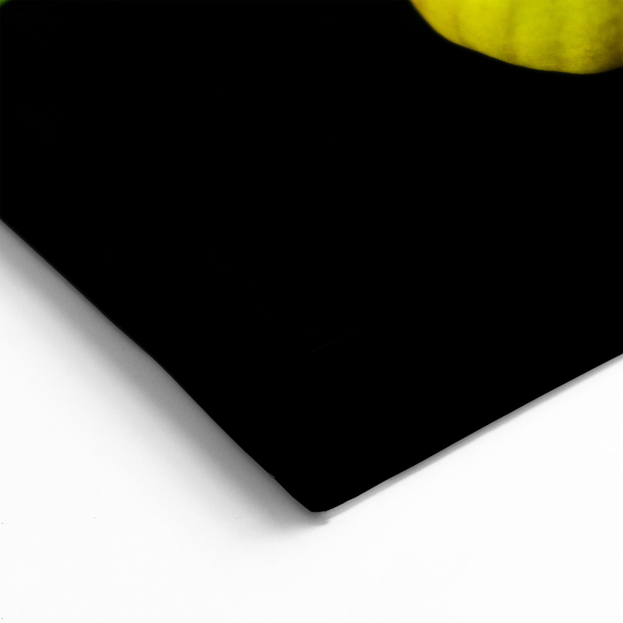 Elegant Orchid Flower Wall Art - Botanical Orchid Canvas Print Decor