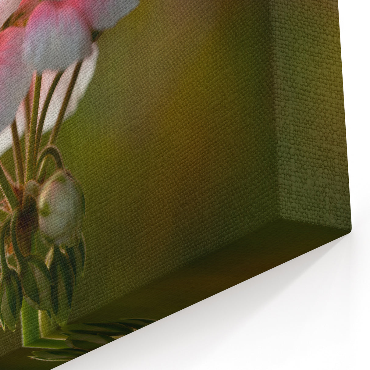 Soft Pink Geranium Flower Art - Botanical Geranium Canvas - Elegant Decor