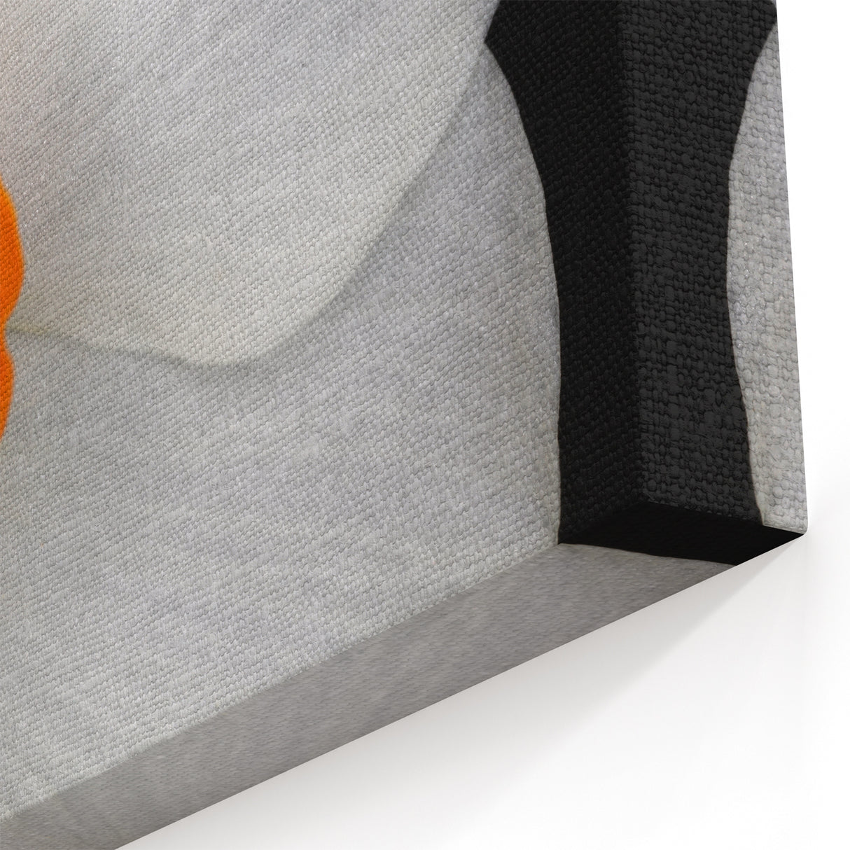 White and Orange Geranium Flower Art - Botanical Canvas Wall Decor