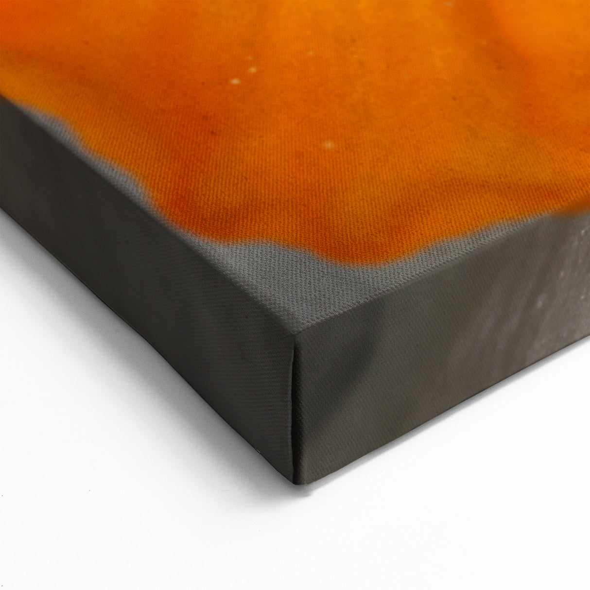 White and Orange Geranium Flower Art - Botanical Canvas Wall Decor