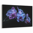 Exquisite Orchid Flower Art - Blue Orchid Canvas Print for Home Decor